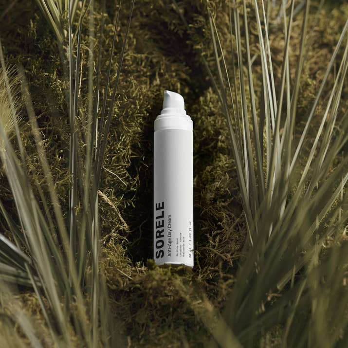 Renewal Day Cream