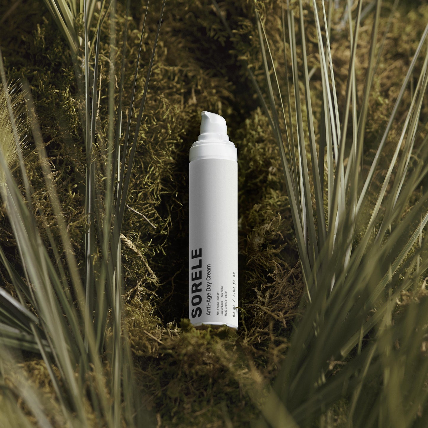 Renewal Day Cream